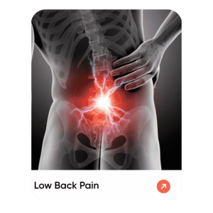 Low Back Pain